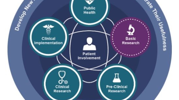 translational science spectrum