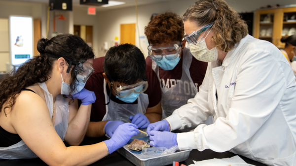 Students wearing goggles and gloves gathered around a tray with a sheep's heart as an instructor wearing a white lab coat shows them how to dissect it.