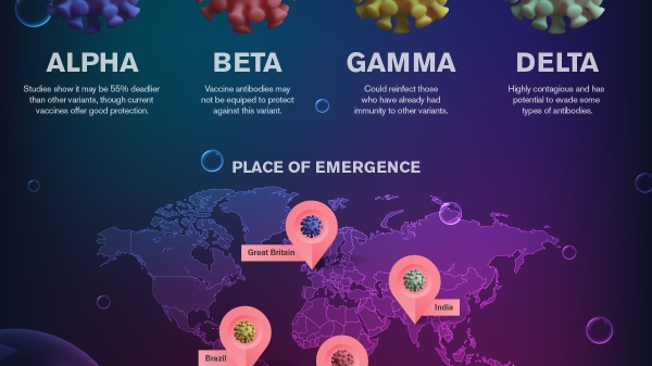 map describing four coronavirus varients