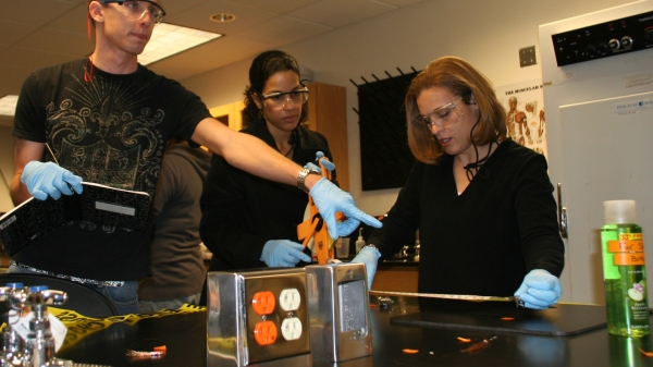 students working in lab