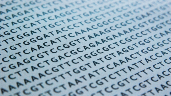 DNA sequence