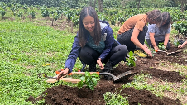 ASU student Emily Wong planting coffee trees.