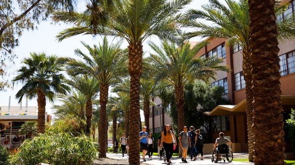 Students travel along Palm Walk