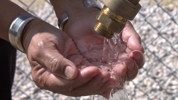 Cupped hands under running water.