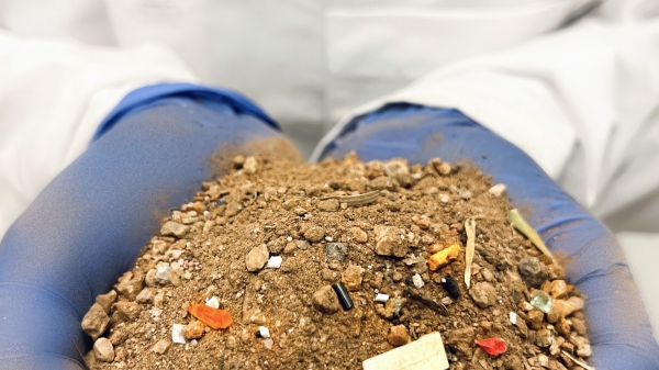 Gloved hands holding a pile of soil with microplastics mixed in.