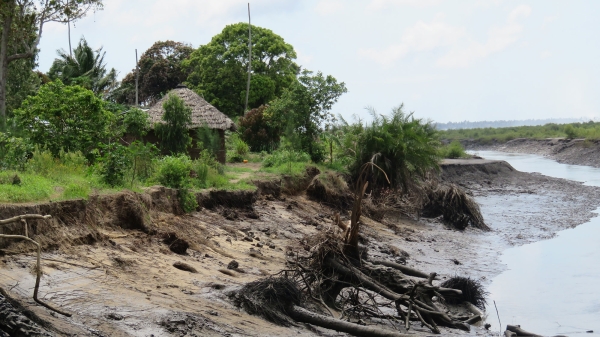 Mangrove deforestation causes serious erosion in Quelimane, Mozambique