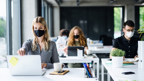 Office workers sitting at their computers