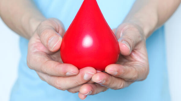 Hands holding blood drop model