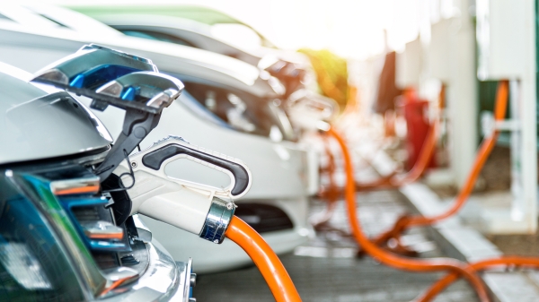 A row of electric vehicles sit parked and plugged into chargers