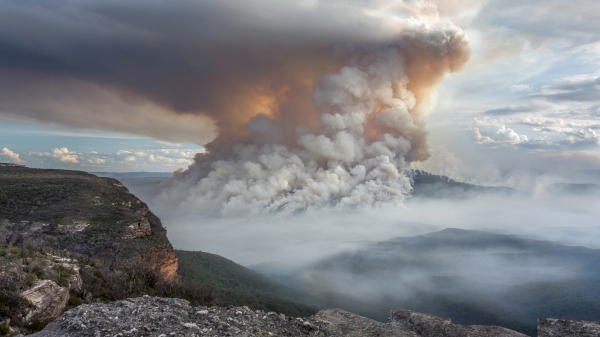 ASU ecologist launches international effort to improve urban resilience 