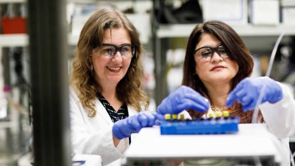 ASU researchers Rosa Krajmalnik-Brown and Heather Bimonte-Nelson wearing white coats, safety goggles and gloves as they handle test tubes in a lab. 