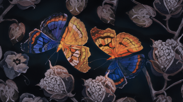 Illustration of multicolored butterflies.