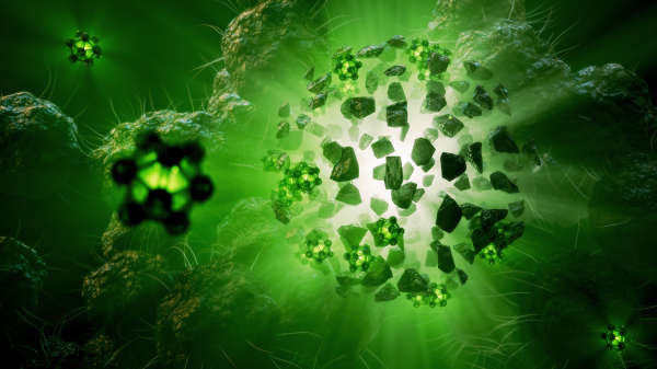 An image depicting green virus cells.