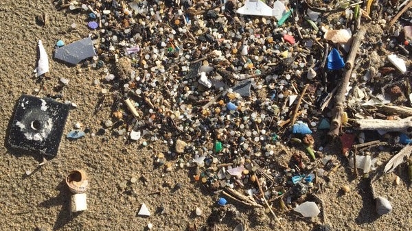 Microplastics on a beach