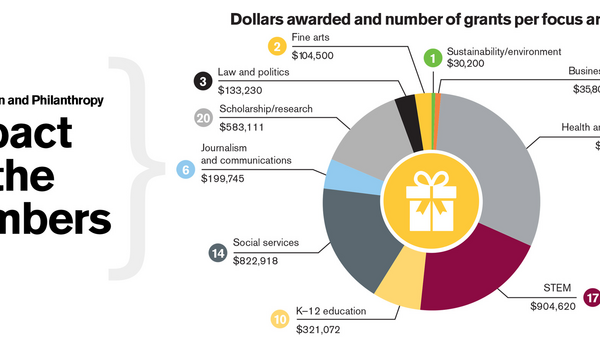 Pie chart showing the breakdown of grants by category