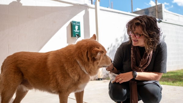 ASU’s Lisa Gunter, Maddie’s® Research Fellow