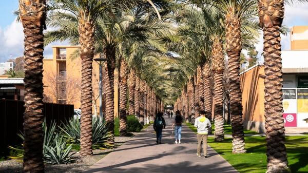 ASU Palm Walk