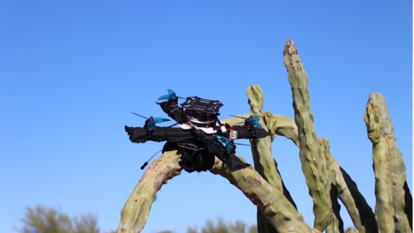 Drone on cactus