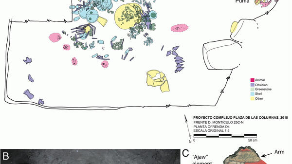 A collection of images shows a map and scan of the animal remains found.