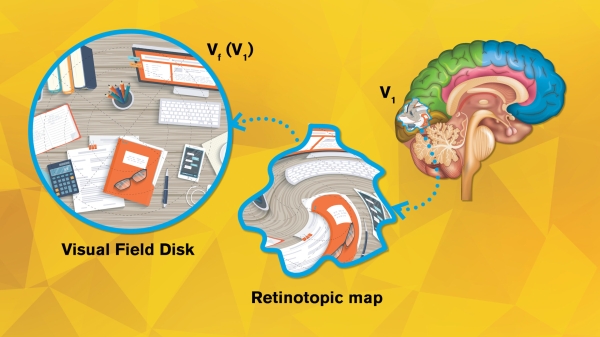 Artistic rendition of how neurons in the human brain depict what the eyes see