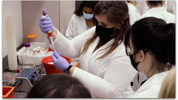 ASU Online School of Life Sciences students attend immersive research program