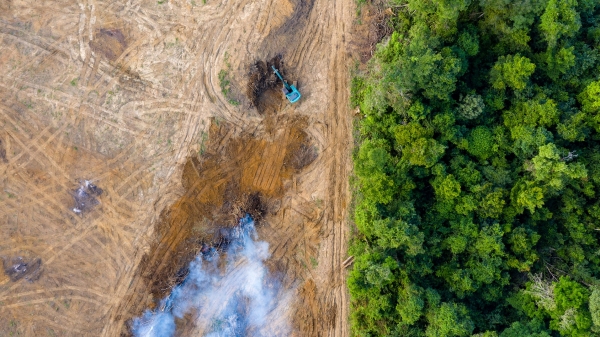 Image of the Amazon rainforest, one half in good condition with green trees, other half has been cleared completely only dirt and smoke remaining