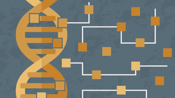 Synthetic gene circuit graphic