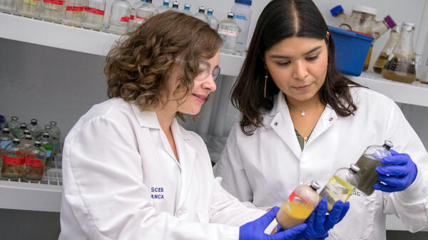 Anca Delgado and  Aide Rubles bioremediation researchers