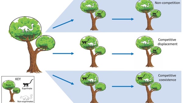 Diagram competition vs noncompetition 2