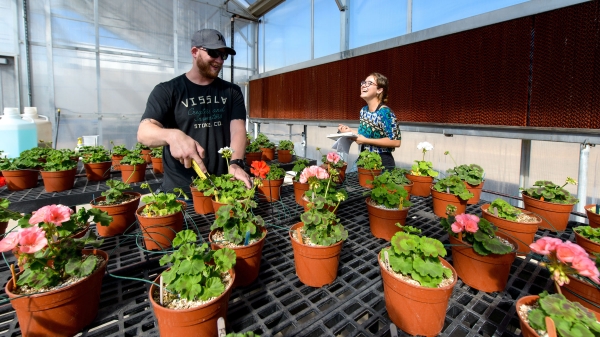 two students working with potted plants in greenhouse