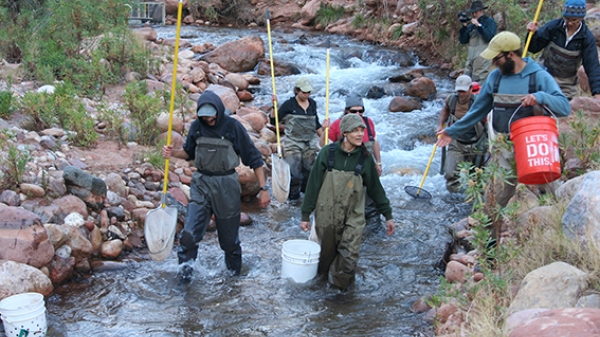 Conservation biologists working in the Grand Canyon