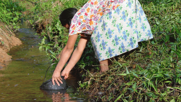 Woman collecting water from a stream.