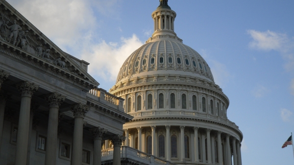 The U.S. Capitol in Washington, D.C.