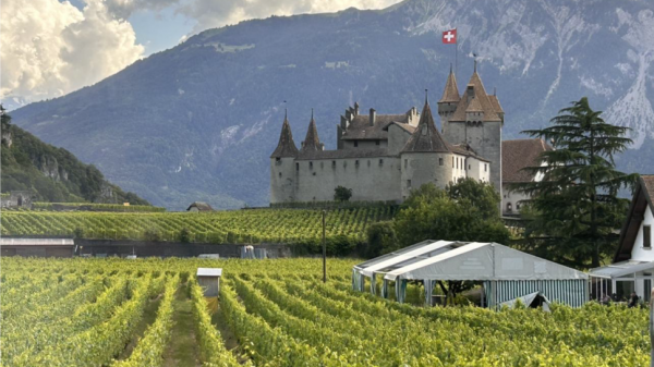 Photo of vinyard and castle near Villars, Switzerland
