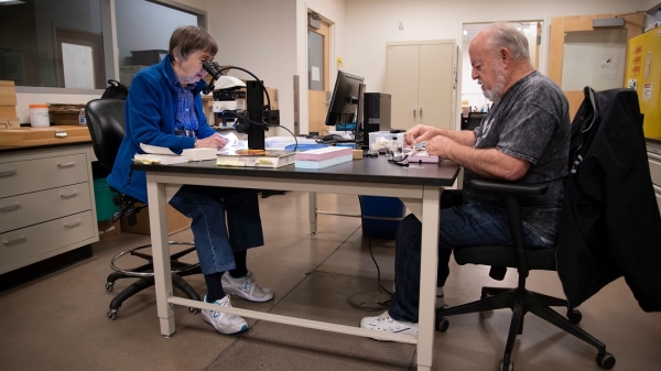 Arizona State University Natural History Collections