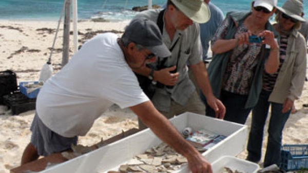 photo of Gilpin Point peat, seashore