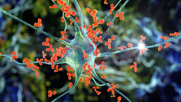 Graphic illustration of antibodies attacking a neuron.