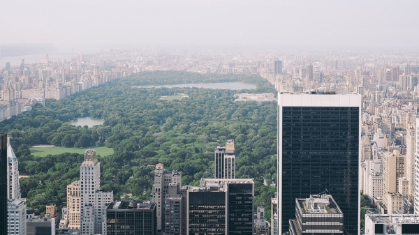 buildings in New York City with Central Park in the background