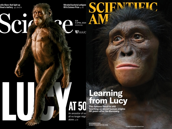 Covers of Science and Scientific American with cover stories about the Lucy fossil discovery