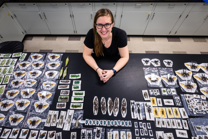 Woman sitting at lab table surrounded by bug collection