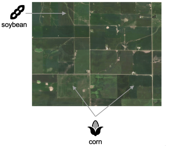 Satellite map showing different crop areas on map