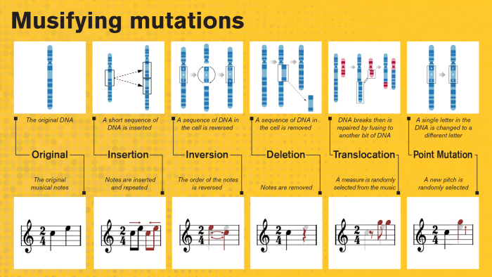 A series of illustrations showing how the musification software works. First, there is a drawing of the original DNA compared to the original musical notes of the song as shown on the staff lines of sheet music. The first type of mutation is insertion, where a short sequence of DNA is inserted into the original. On the staff lines, musical notes are inserted and repeated. Next, inversion is shown. In the drawing of DNA, a sequence in the cell is reversed. On the sheet music, the order of the notes is revers