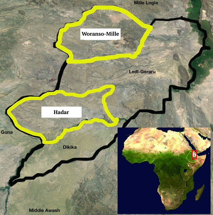 IHO Ethiopia field sites