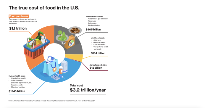 Graphic image depicting the hidden costs of food