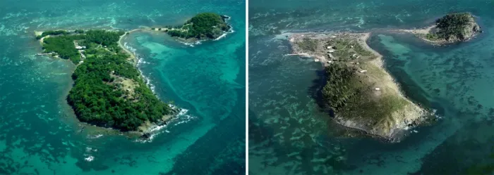 Side-by-side aerial images of Cayo Santiago, with the image on the left showing much more vegetation than the iamge on the right.
