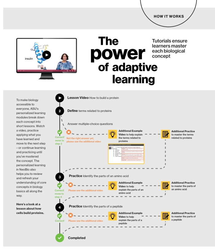 Flow chart that illustrates adaptive learning process