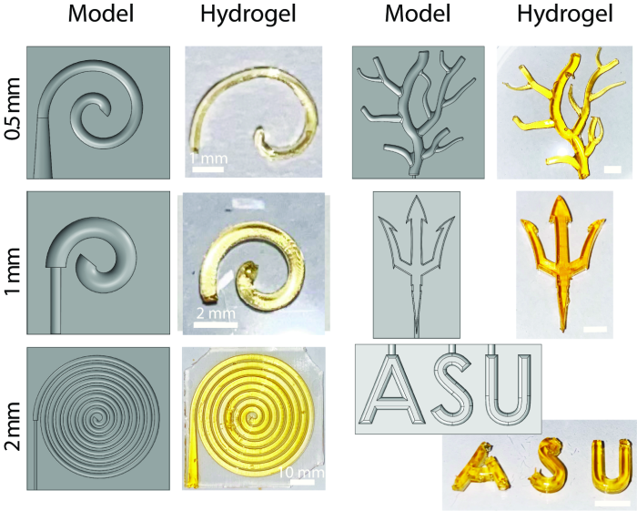 An images of a hydrogel injection mold. 