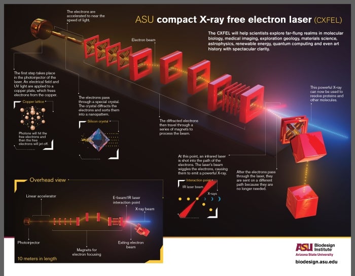 CXFEL Infographic