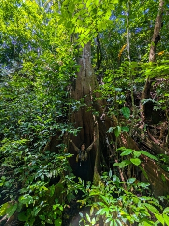 Woman standing in a rainforest.