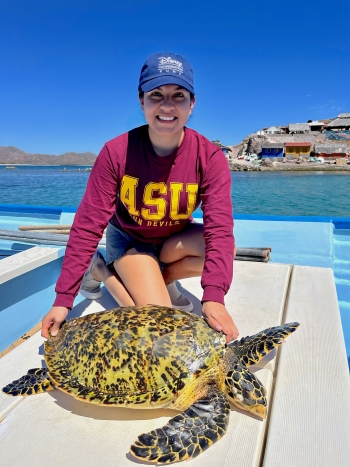 A smiling woman in front of the ocean holding a giant sea turtle.